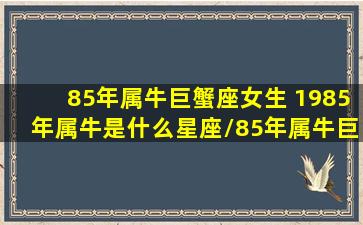 85年属牛巨蟹座女生 1985年属牛是什么星座/85年属牛巨蟹座女生 1985年属牛是什么星座-我的网站